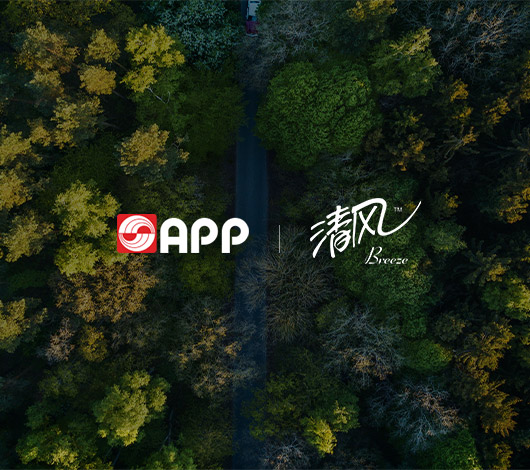 金光集團(tuán)網(wǎng)站搭建