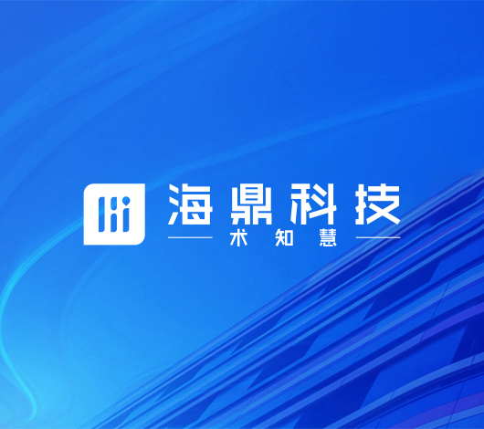 海鼎品牌網(wǎng)站設(shè)計(jì)