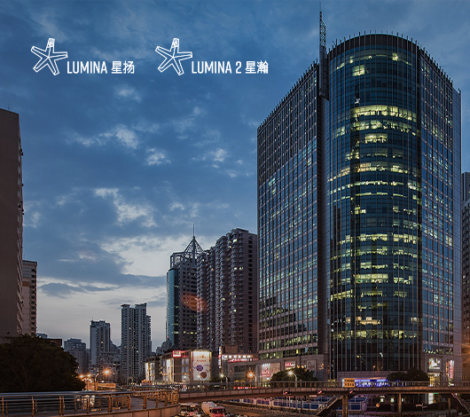 恒基Iumina網(wǎng)站建設(shè)