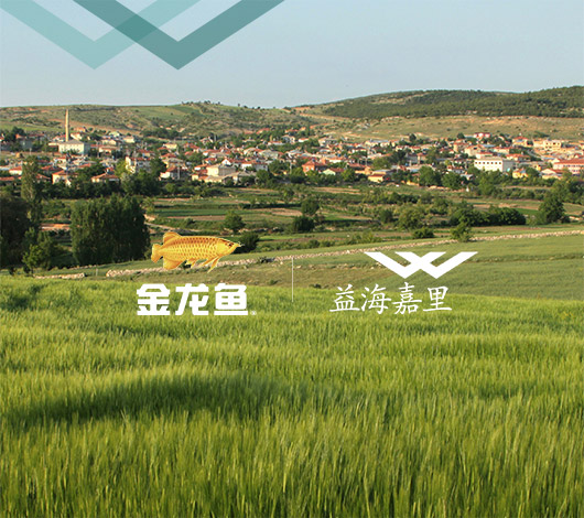 金龍魚益海嘉里集團-品牌網(wǎng)站建設(shè)